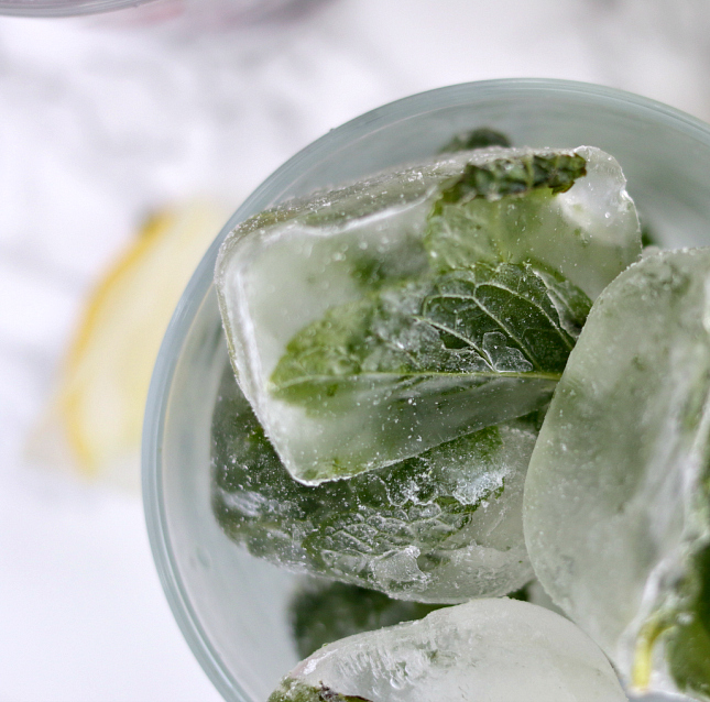 Mint ice cubes