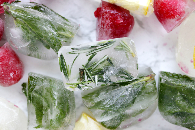 herb infused ice cubes