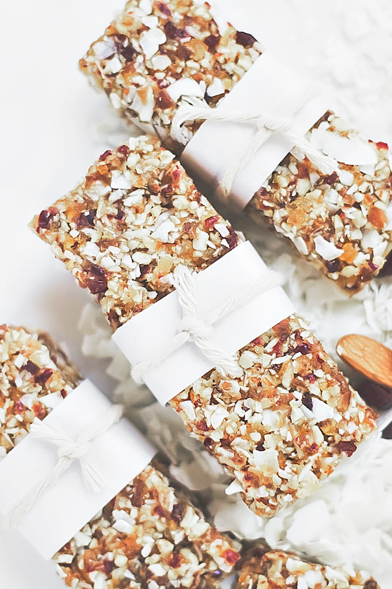 Homemade Vegan Raw Bars