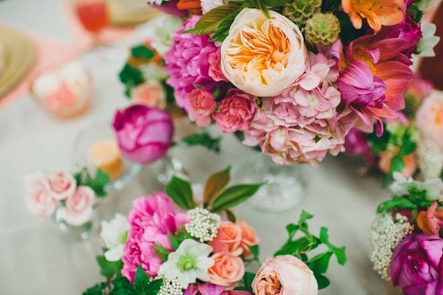 A close up of a pink, orange, green, and purple flowers.