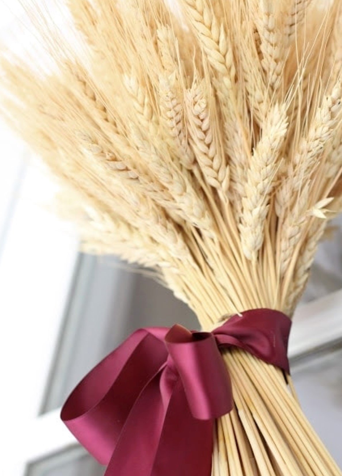 A wheat sheaf hanging on a glass paned front door, tied with burgundy ribbon