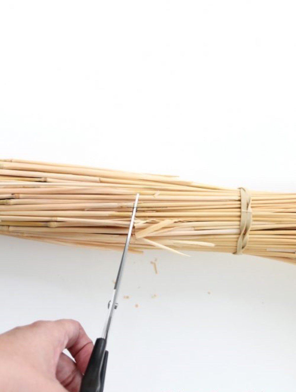 The end of a wheat sheaf, placed on a white table for a tutorial.