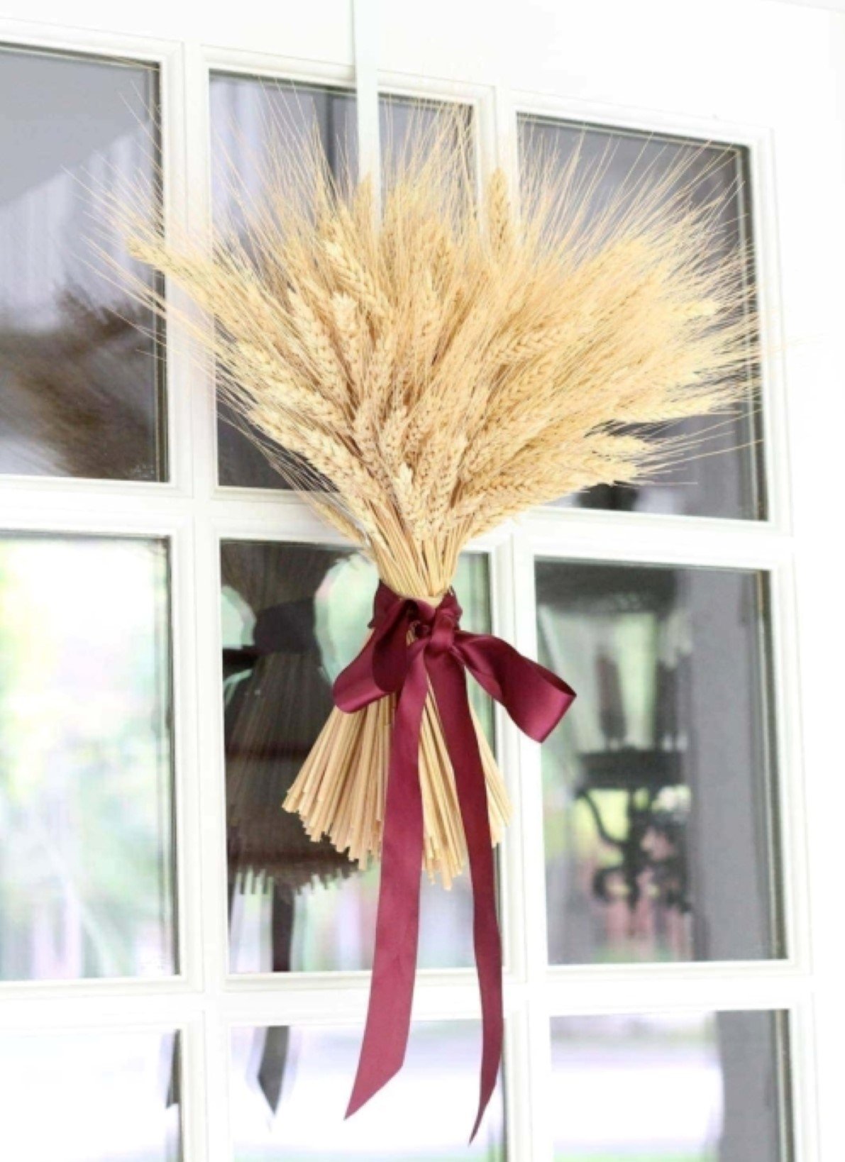 A wheat sheaf hanging on a glass paned front door, tied with burgundy ribbon