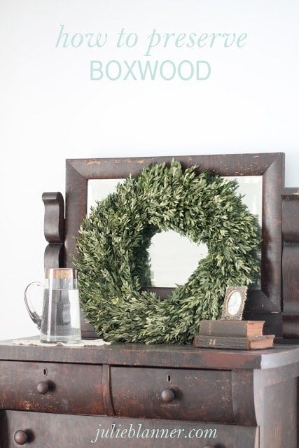 how to preserve a boxwood wreath including ideas for gifting and decor