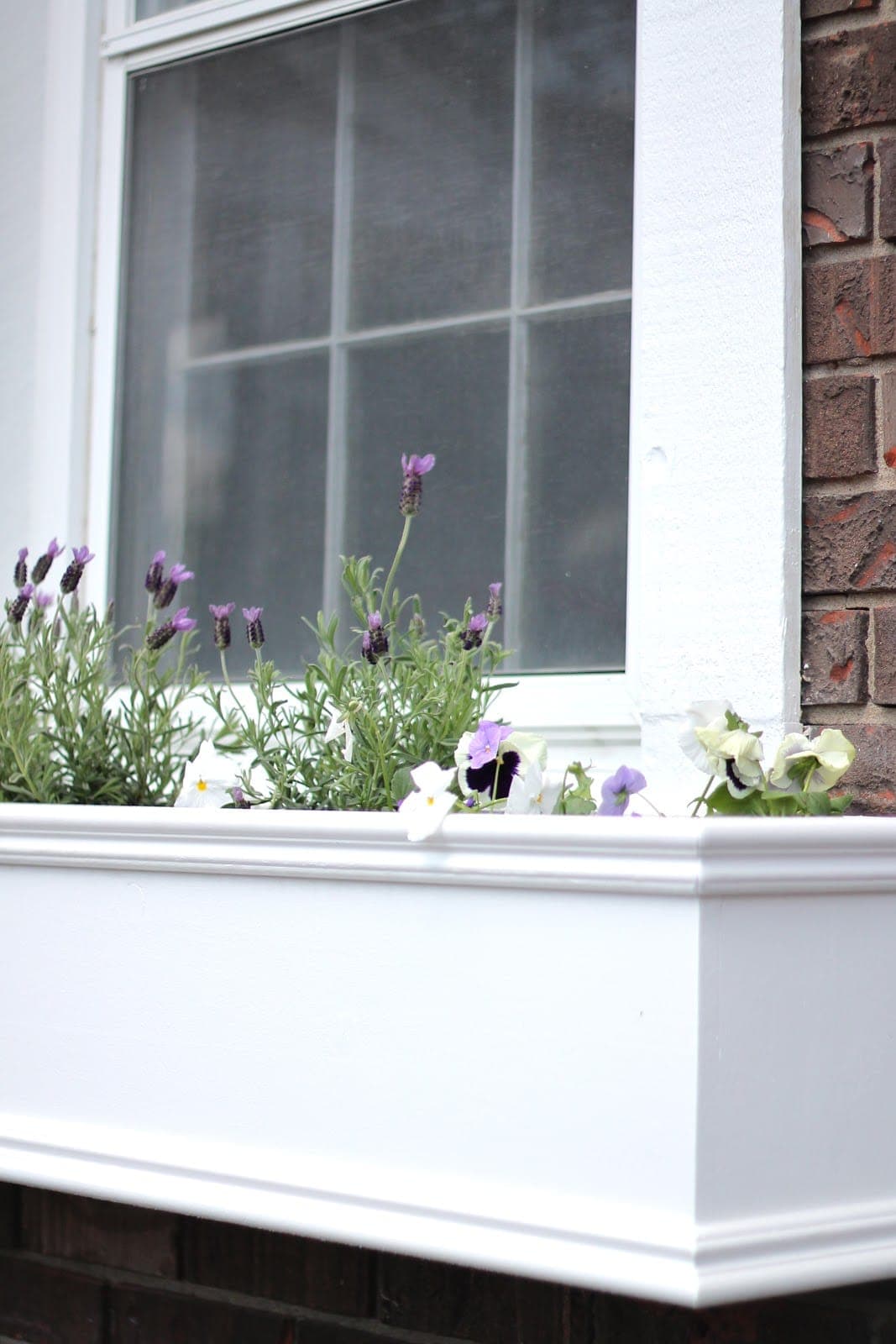 A white diy window box filled with spring flowers.