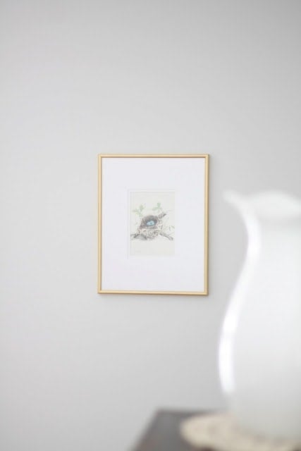 A frames picture of a bird.