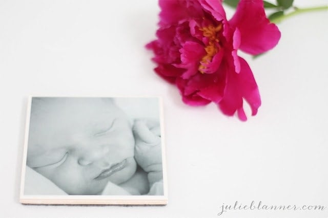 A close up of a flower next to photo coasters.