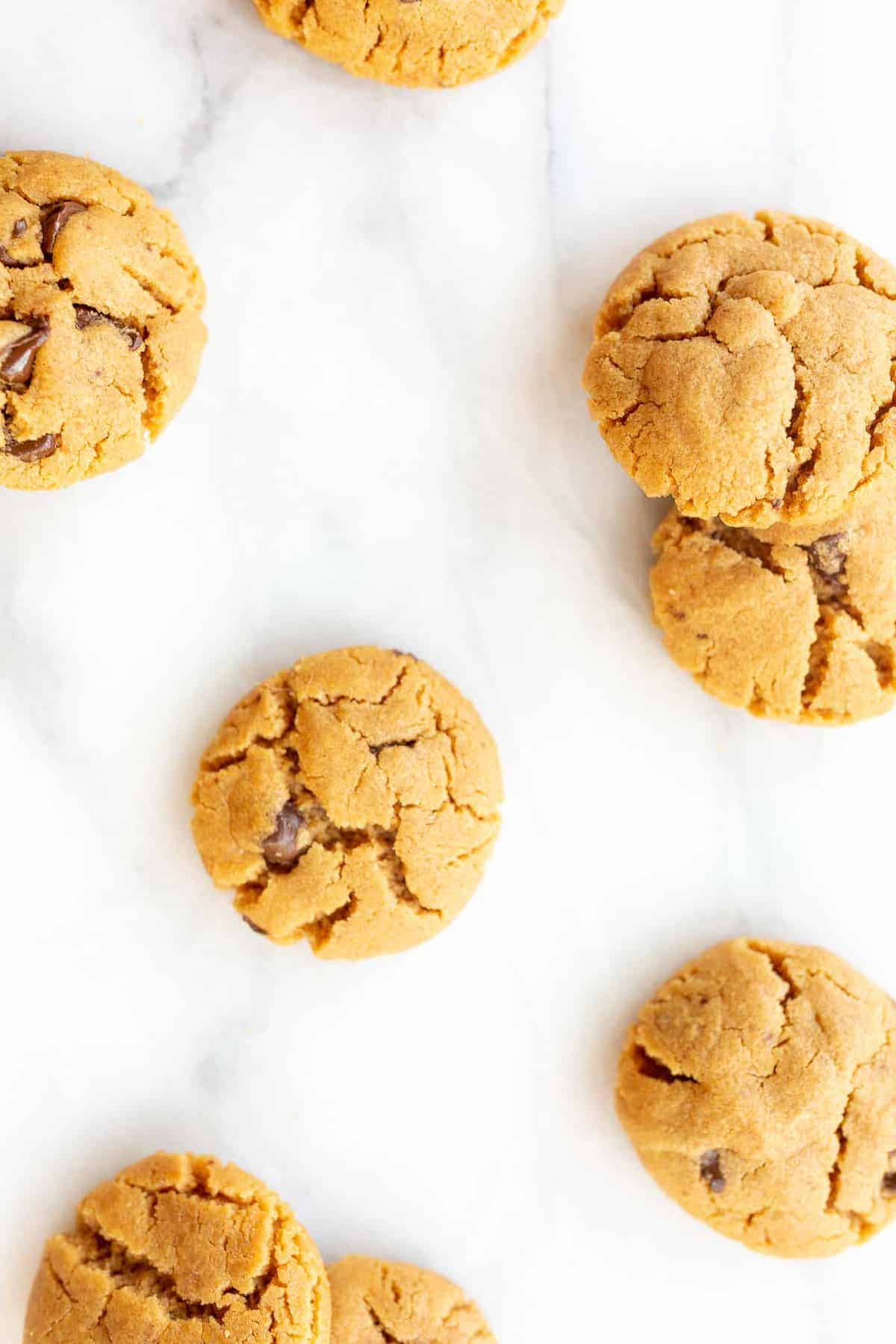 flourless peanut butter chocolate chip cookies scattered on marble counter