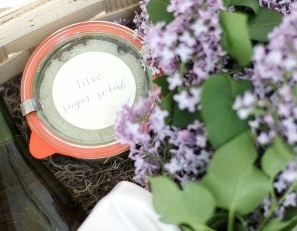 All natural bath products | lilac sugar scrub recipe