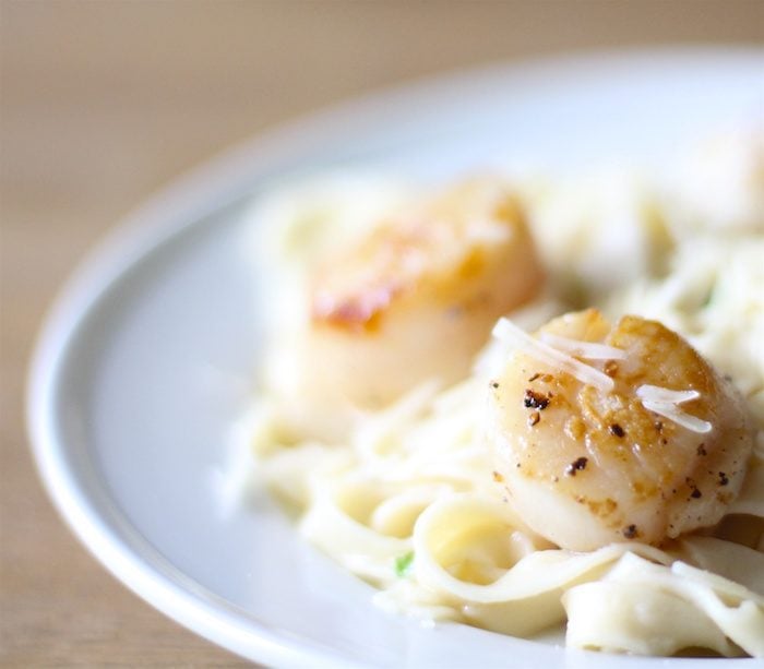 Tips for cooking scallops - learn how to sear scallops like a pro in just 6 minutes