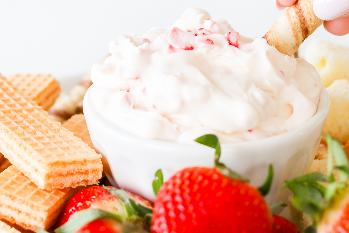 A person is dipping a cracker into a bowl of fruit dip.