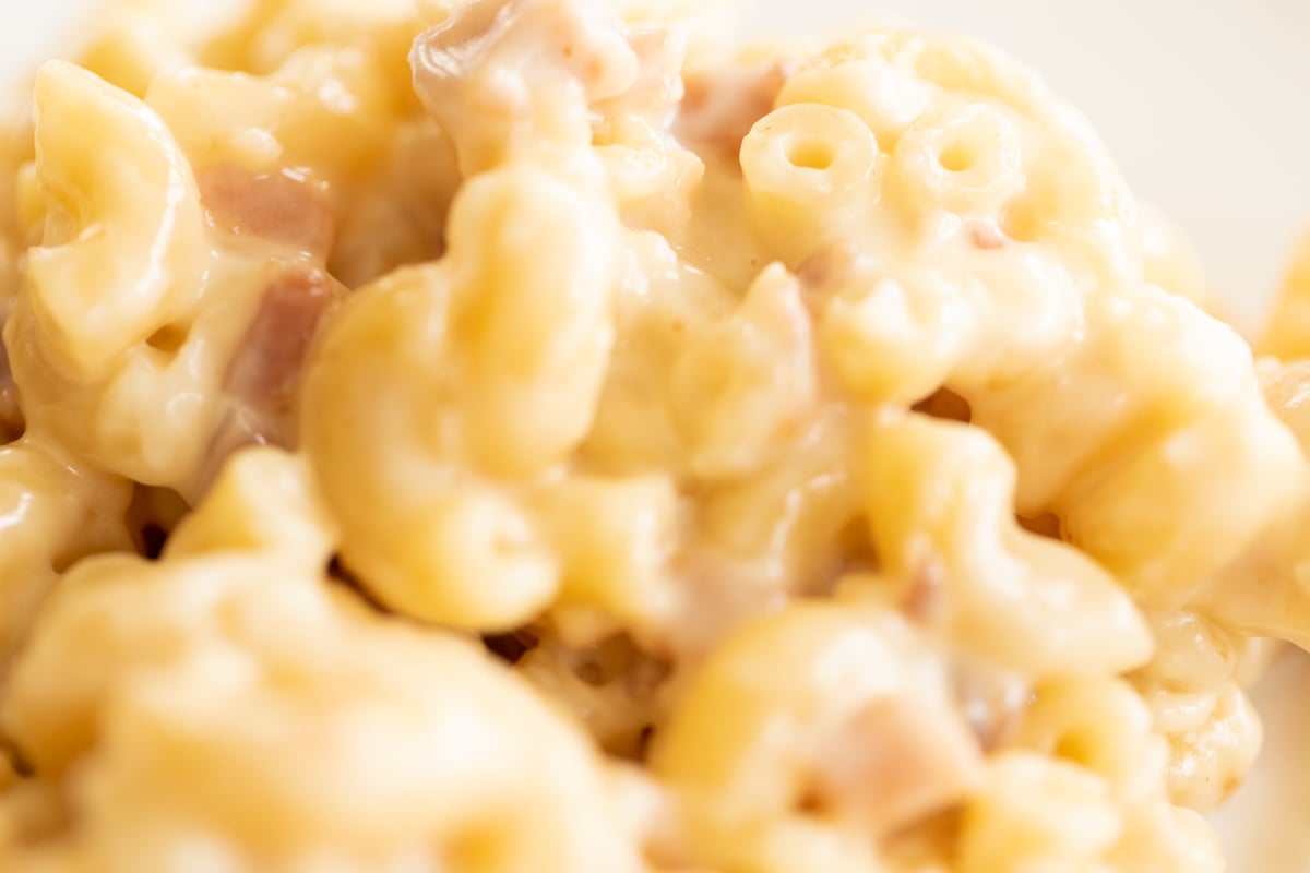 A close up of gouda mac and cheese.