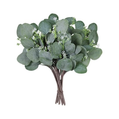 A bunch of eucalyptus leaves on a white background, perfect for a Christmas candle centerpiece.