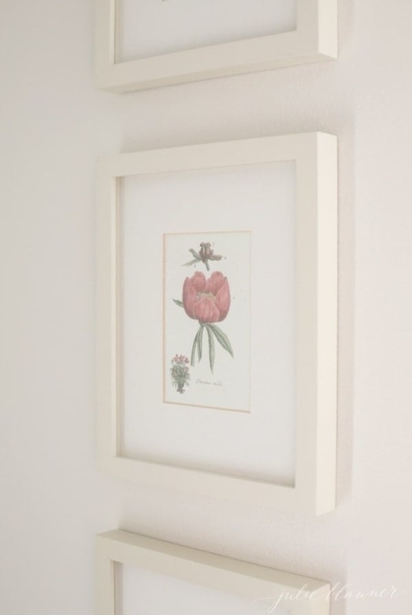 Botanical print in white frame