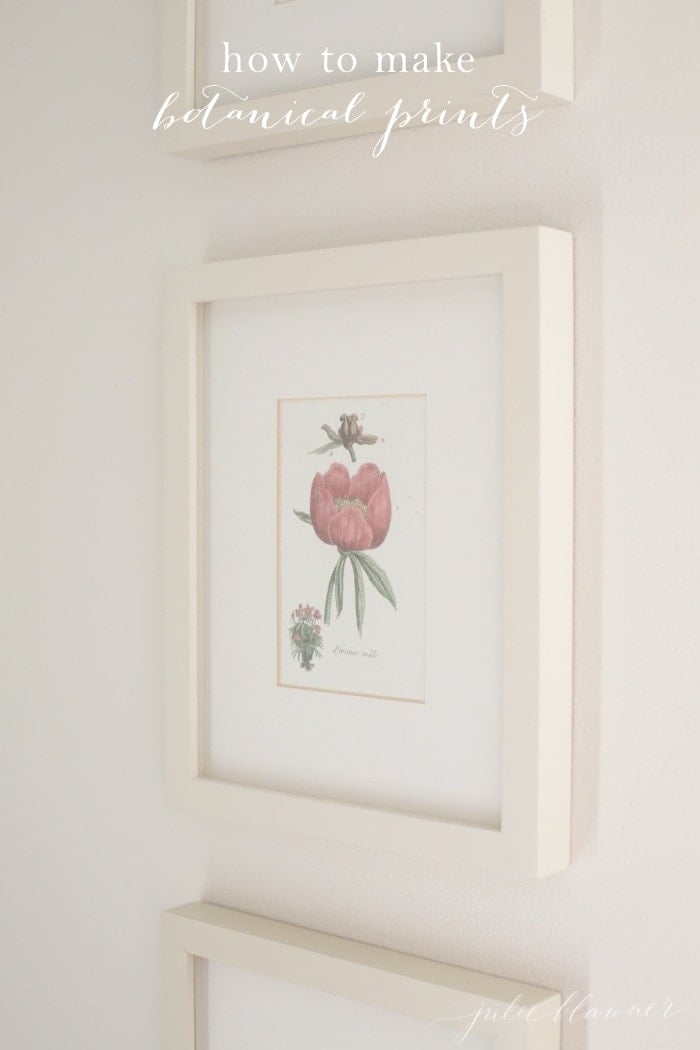 Soft floral botanical prints with white frames on a white wall, text overlay that says "how to make botanical prints".