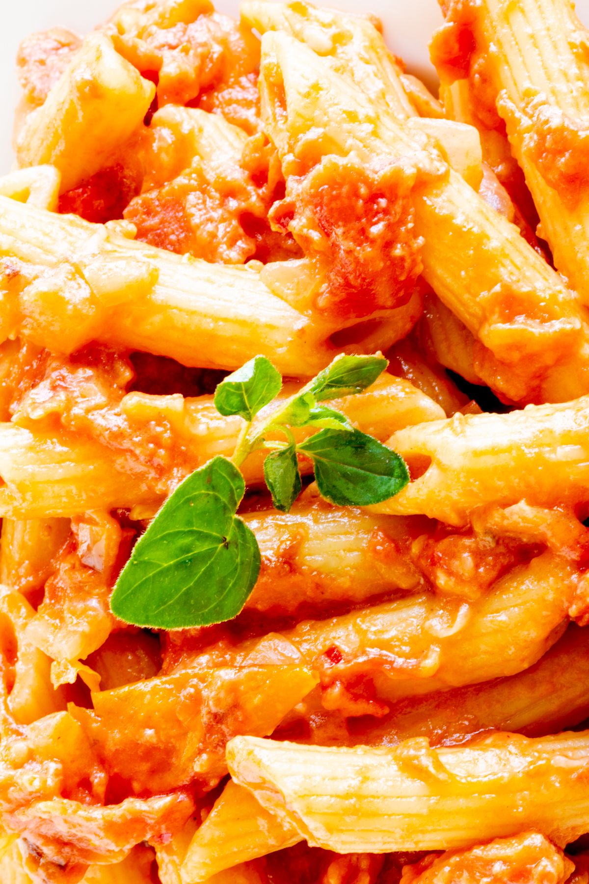 Close up of penne alla vodka sauce.