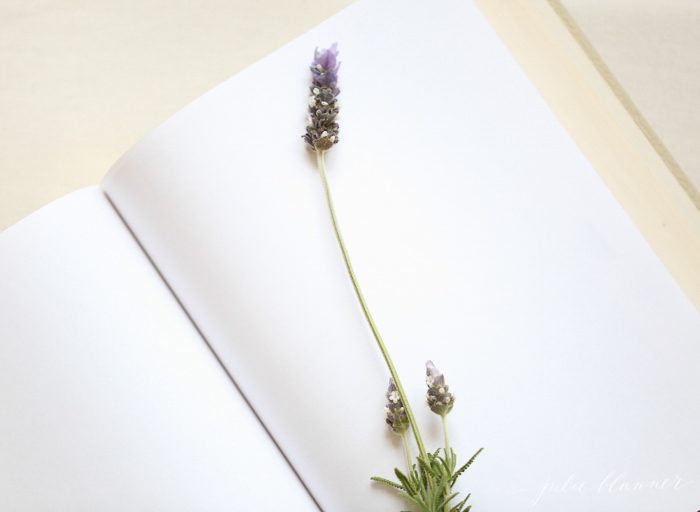 Learn how to press flowers to create beautiful diy pressed botanical wall art