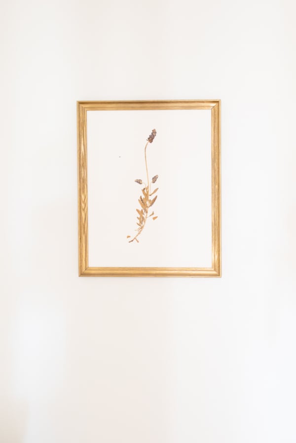 A gold framed wall art print of a flower.