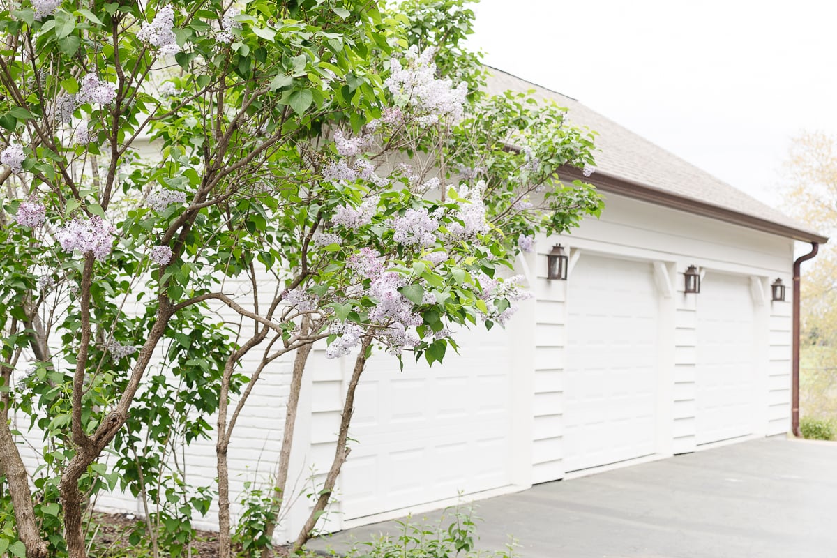 A white garage with lilac trees in front of it, illuminated by outdoor lighting.