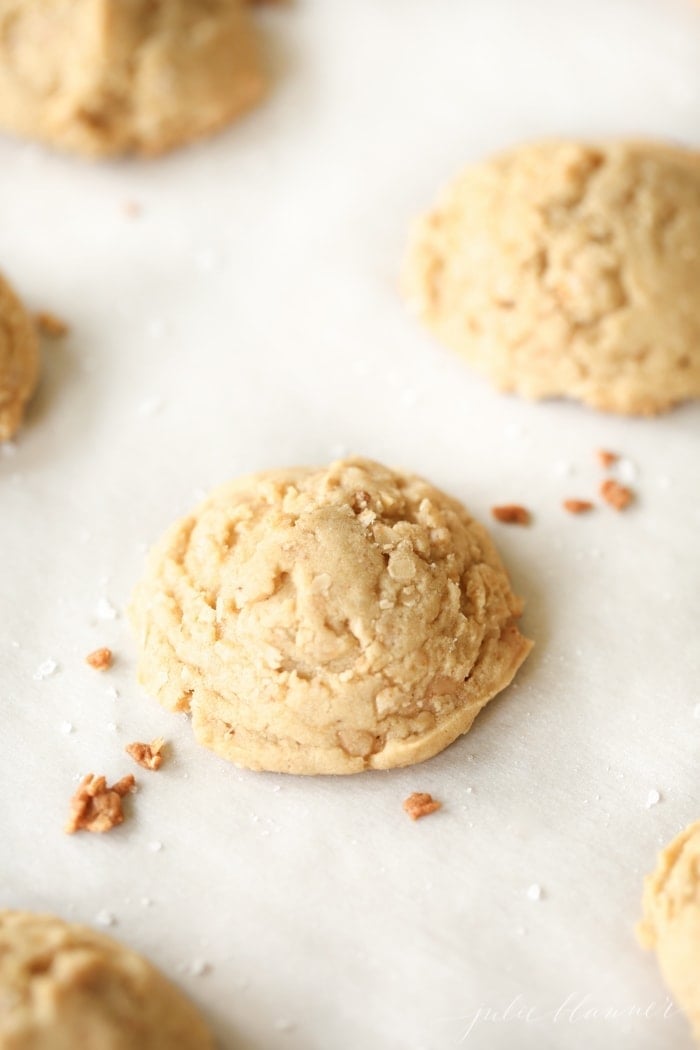 Close up of an oatmeal brickle cookie