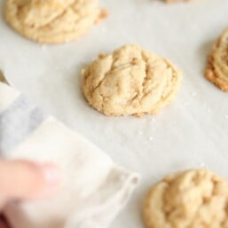 cookies on a cookie sheet