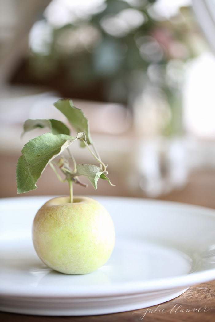 a single apple on a white plate