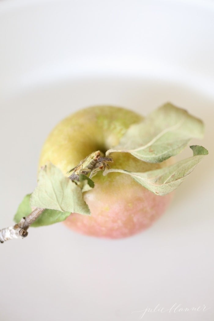 a single apple on a white plate