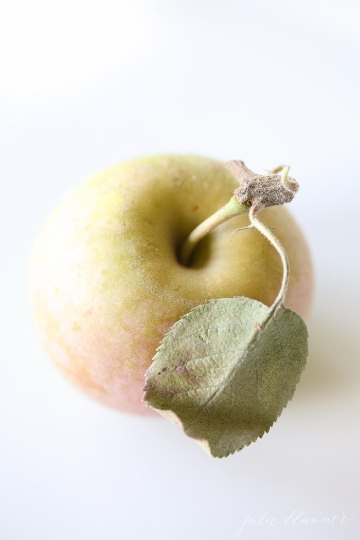 a single apple on a white plate