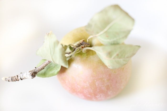 a single apple on a white plate