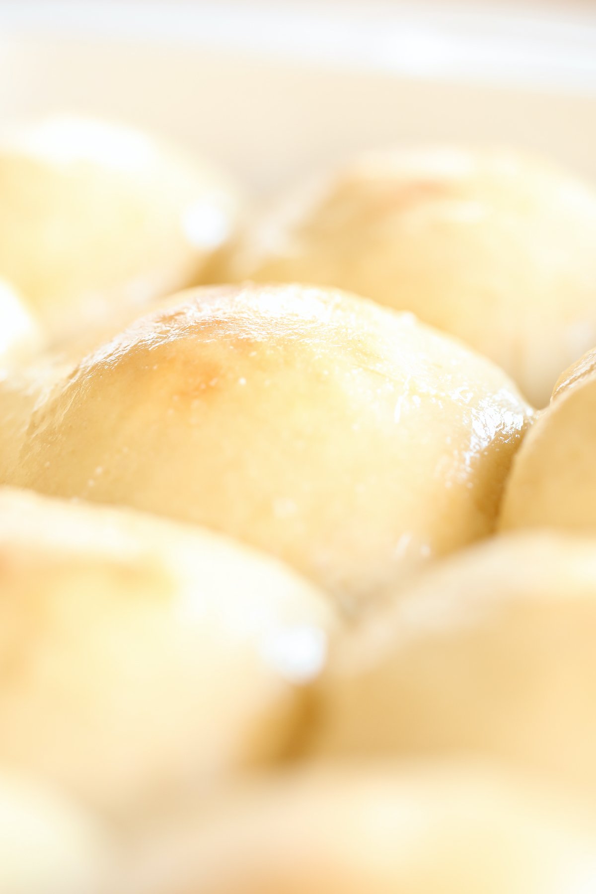 A white baking pan full of homemade dinner rolls.