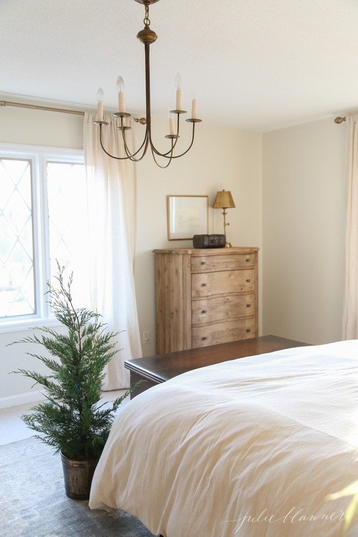 A fresh evergreen tree in a pot in a white bedroom for winter decor