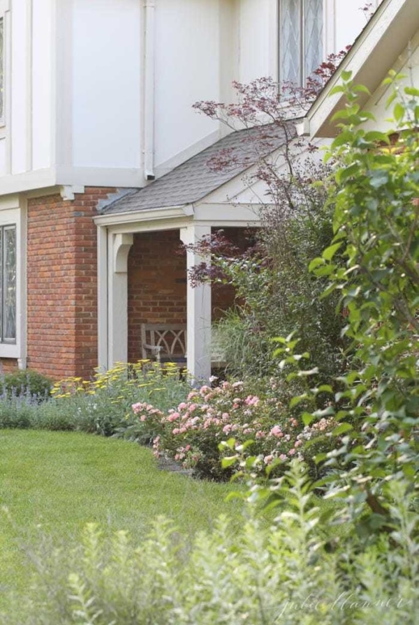 a cottage garden filled with catmint, grasses, russian sage and yarrow