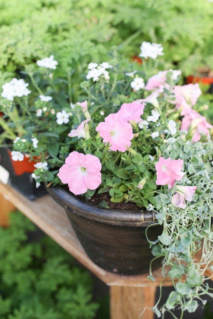 A garden container filled with pink and white blooming annuals