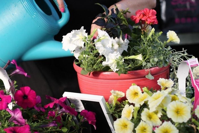 how to create a potted garden that will bloom all summer long