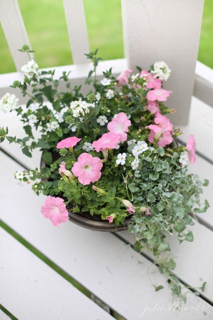 A garden pot filled with pink and white blooming annuals