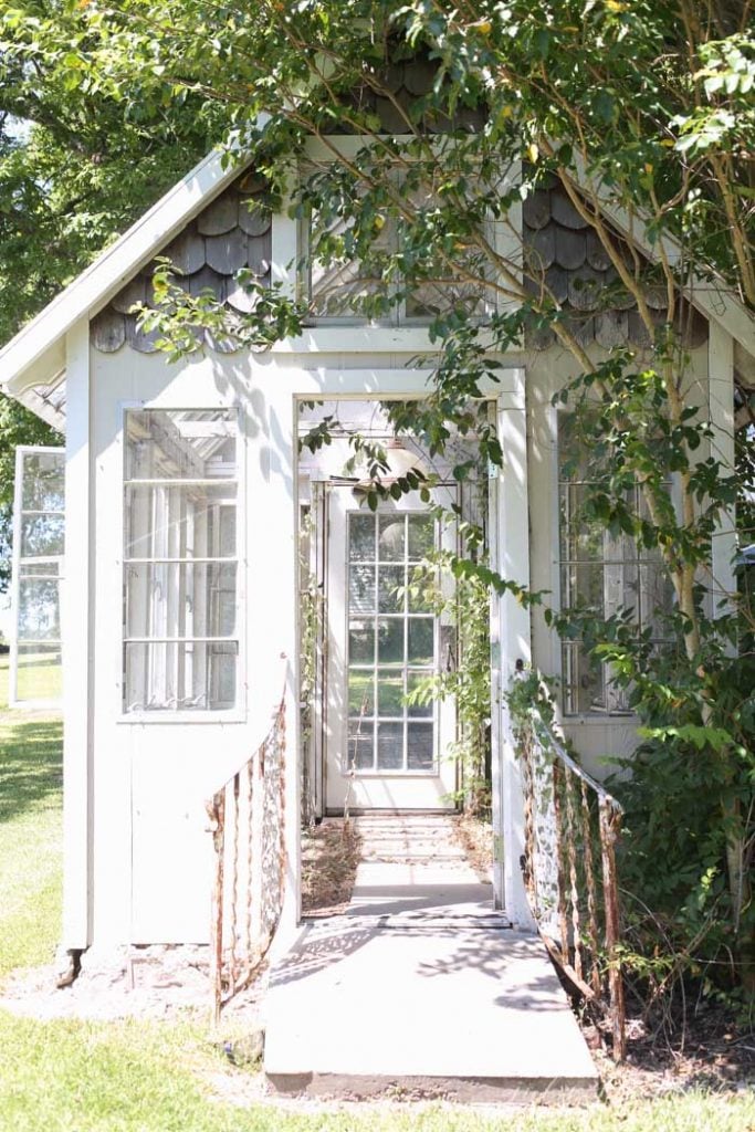 white rustic greenhouse with vines 