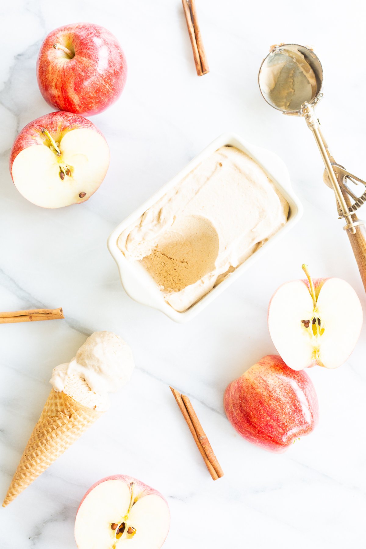 A bowl of apple ice cream sprinkled with cinnamon.