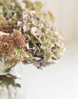 dried flower arrangements