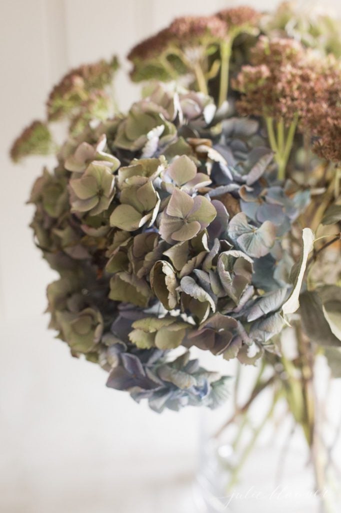 dried hydrangea - easy decorating ideas that last years 