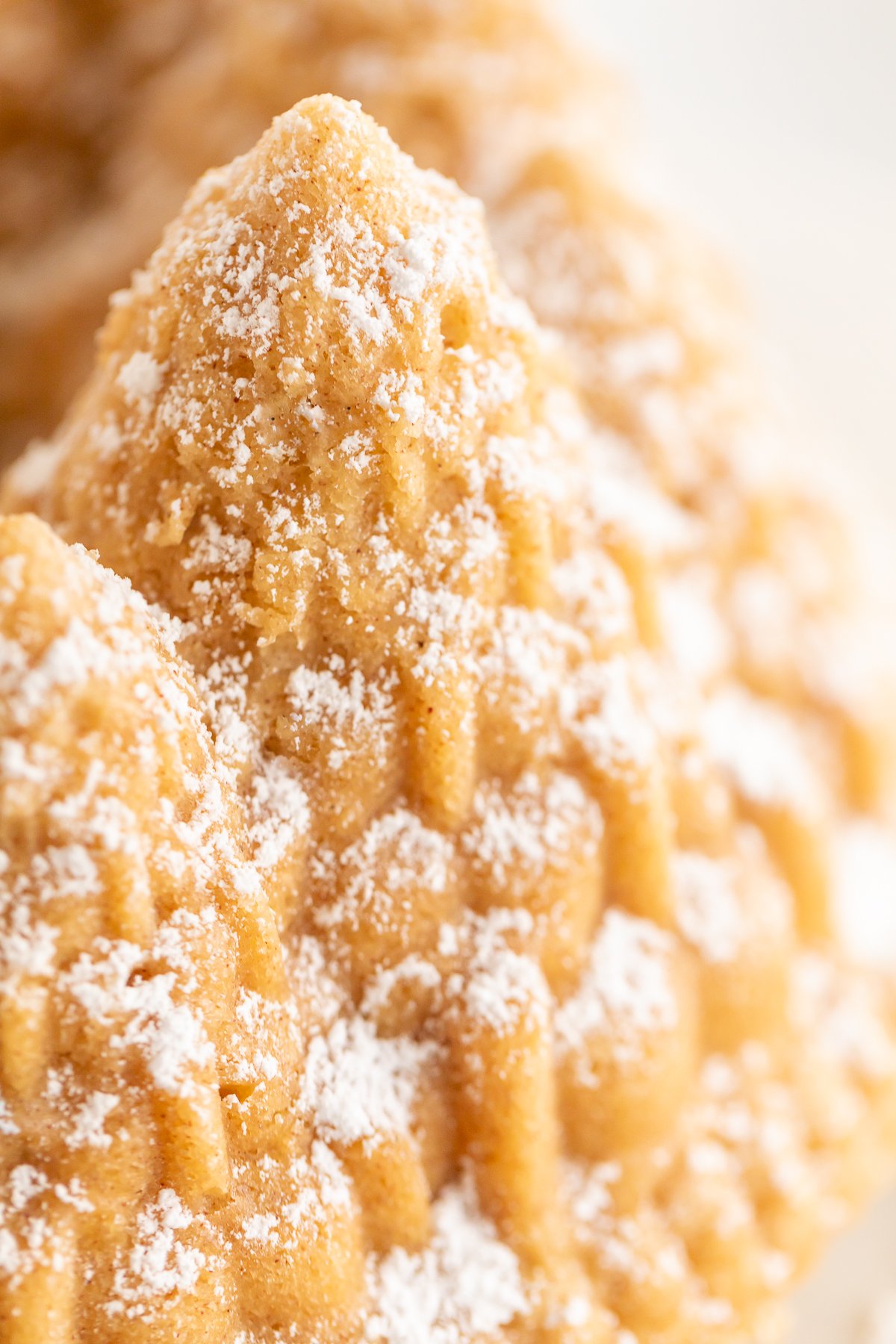 A close up of a cinnamon pound cake with powdered sugar.