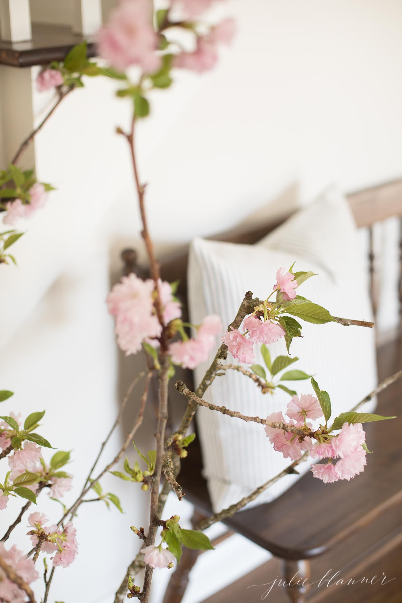 cherry blossom branches in blue and white patterned vase