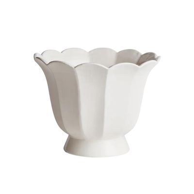 a scalloped white vase on a white background.