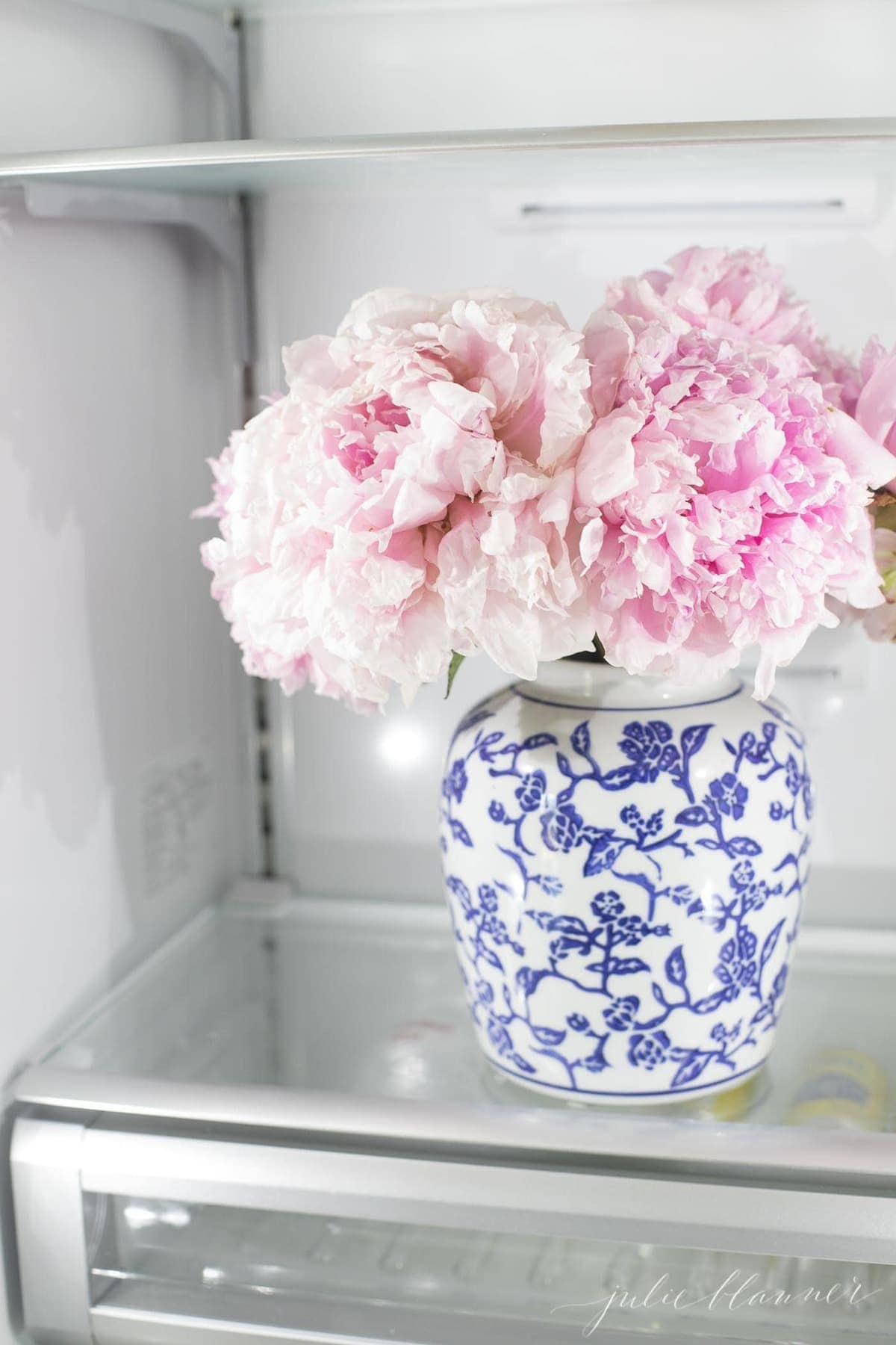 A pink peony bouquet inside a refrigerator to extend their life.