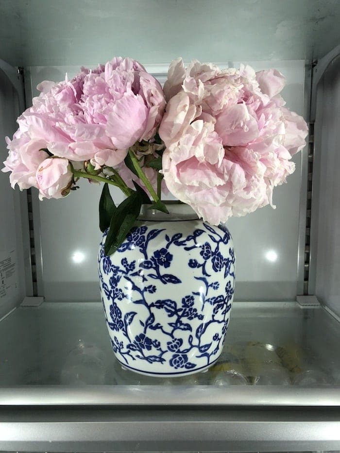 A blue and white vase full of pink peony bouquet inside a refrigerator.