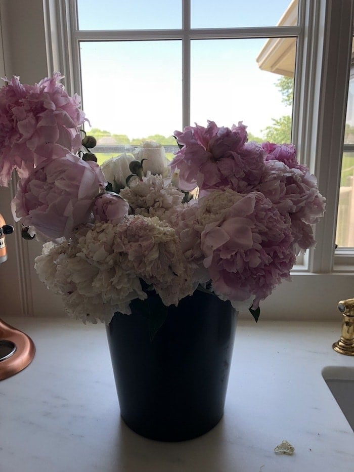 Pink peony flowers in a bucket. 