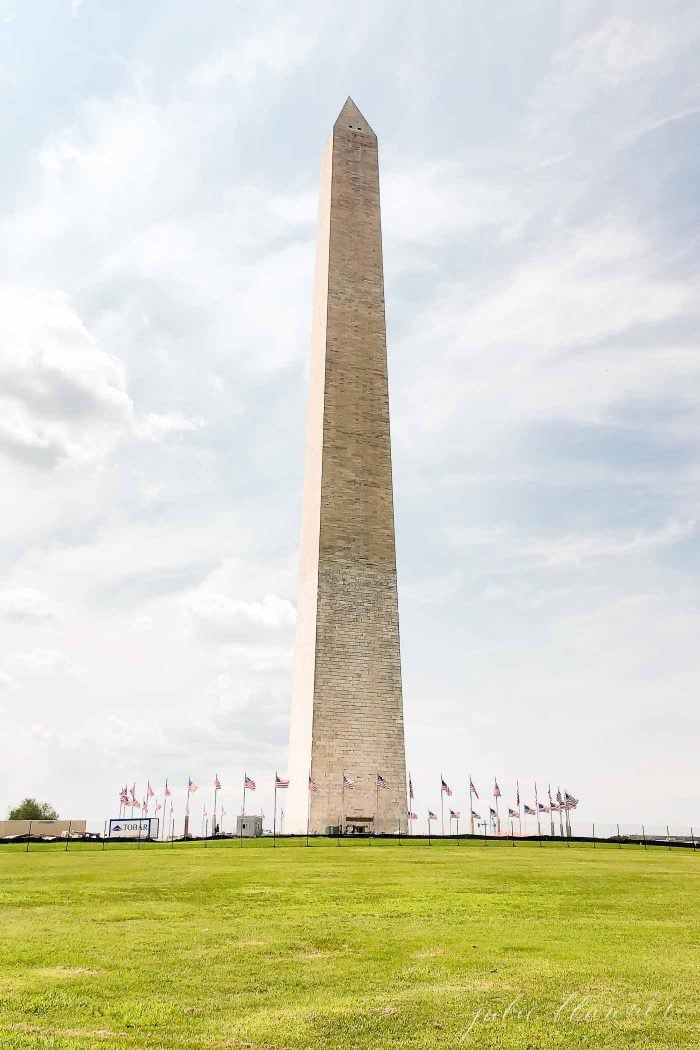 things to do in washington dc with kids