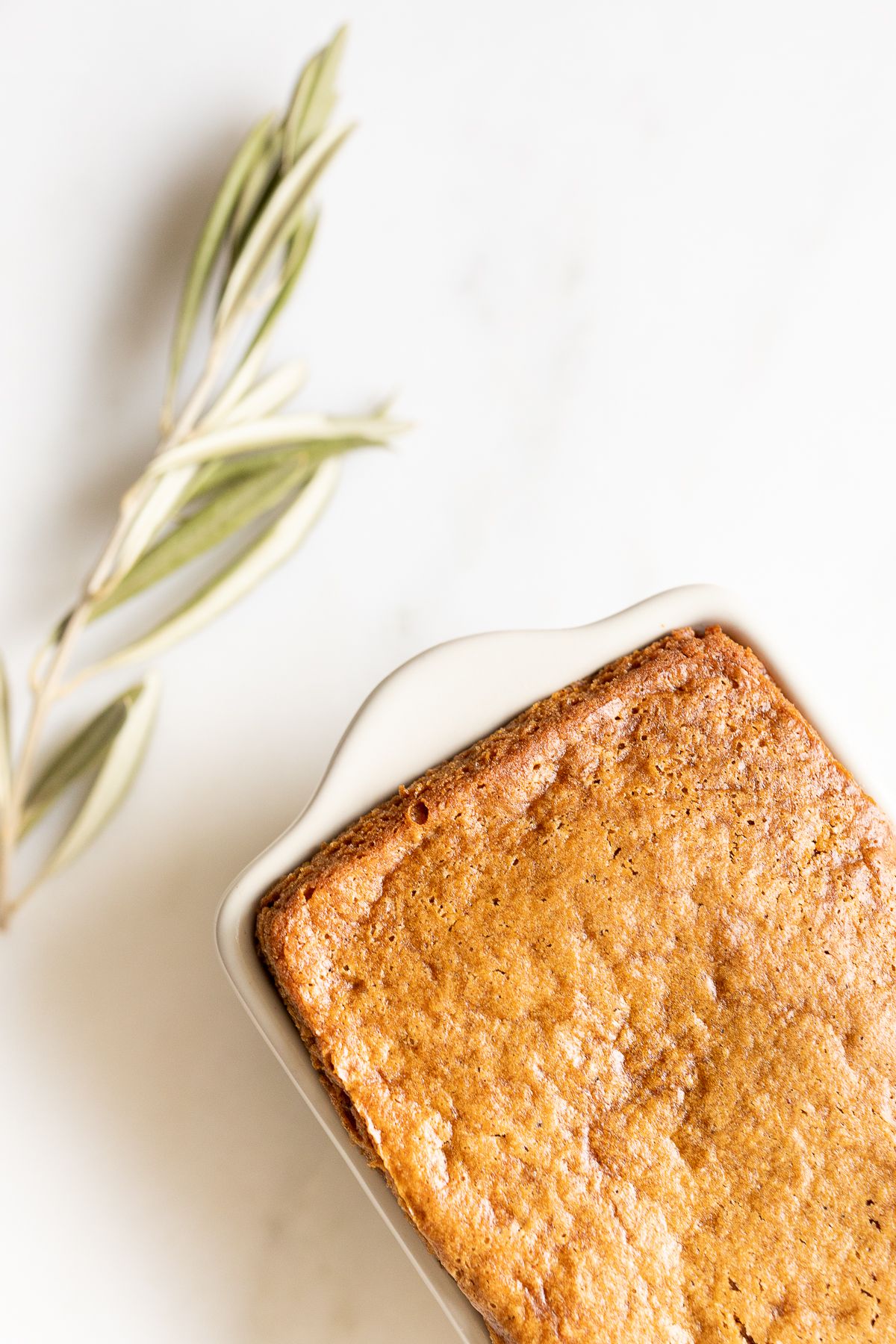 A gingerbread loaf in a white ceramic loaf pan, with an olive branch beside it.