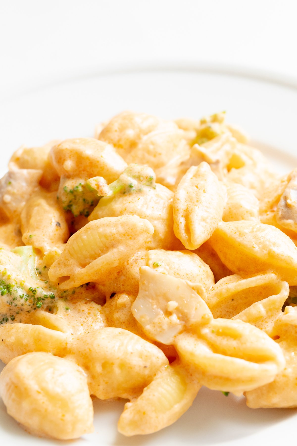 A white plate of pasta con broccoli.