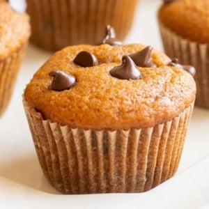 A pumpkin chocolate chip muffin on a white plate.