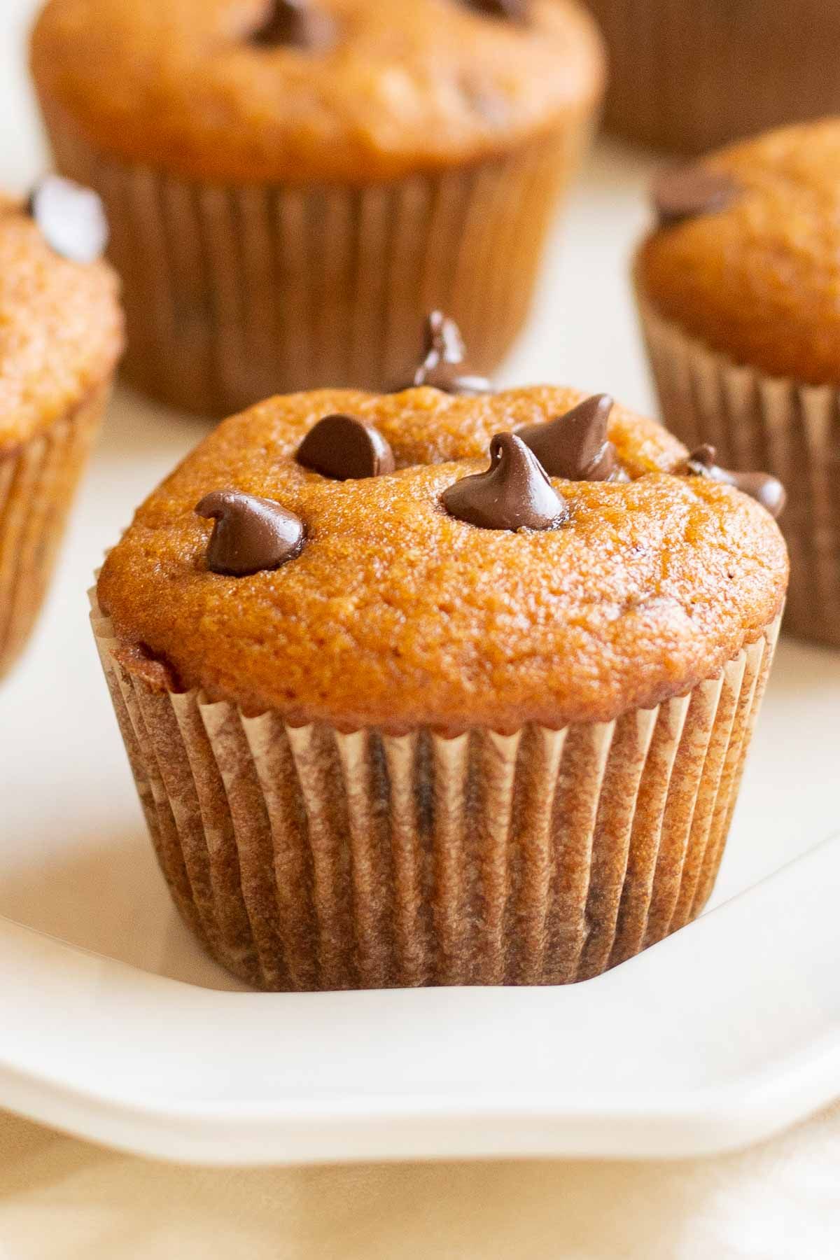 A pumpkin chocolate chip muffin on a white plate.